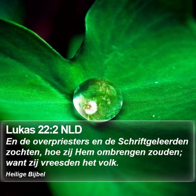 Lukas 22:2 NLD Bible Verse Image