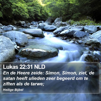 Lukas 22:31 NLD Bible Verse Image