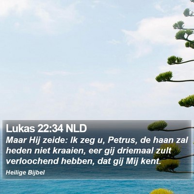 Lukas 22:34 NLD Bible Verse Image