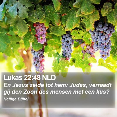 Lukas 22:48 NLD Bible Verse Image