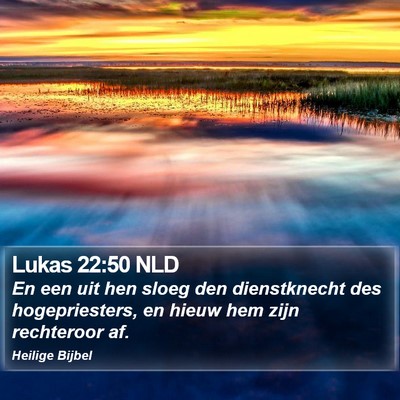 Lukas 22:50 NLD Bible Verse Image