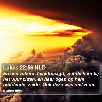 Lukas 22:56 NLD Bible Verse Image