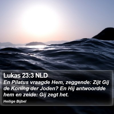 Lukas 23:3 NLD Bible Verse Image