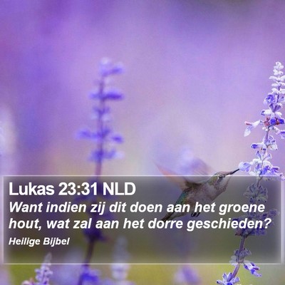 Lukas 23:31 NLD Bible Verse Image