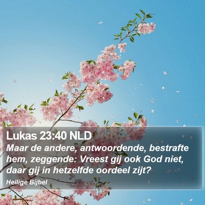 Lukas 23:40 NLD Bible Verse Image