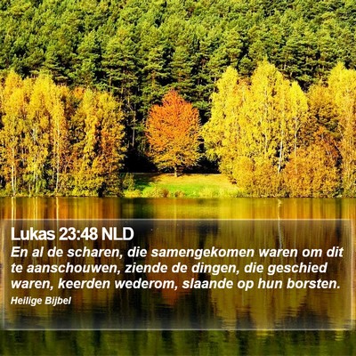 Lukas 23:48 NLD Bible Verse Image