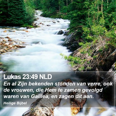 Lukas 23:49 NLD Bible Verse Image