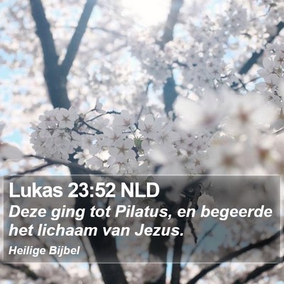 Lukas 23:52 NLD Bible Verse Image