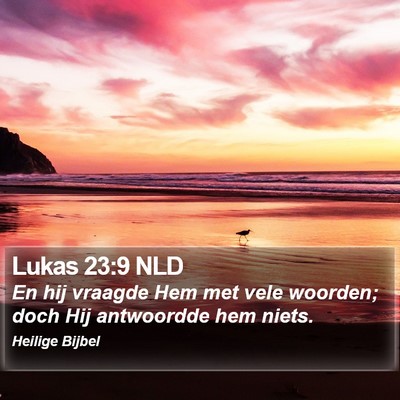 Lukas 23:9 NLD Bible Verse Image