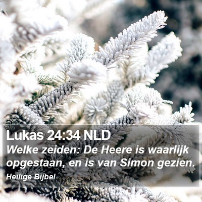 Lukas 24:34 NLD Bible Verse Image