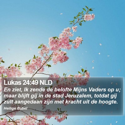 Lukas 24:49 NLD Bible Verse Image