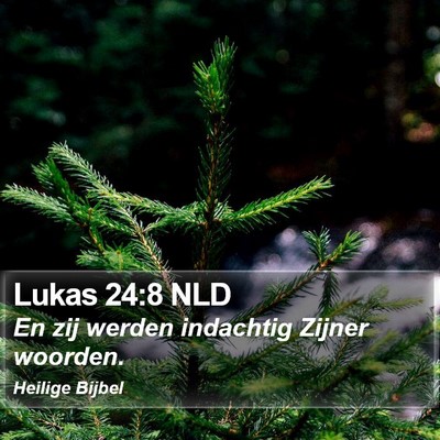 Lukas 24:8 NLD Bible Verse Image