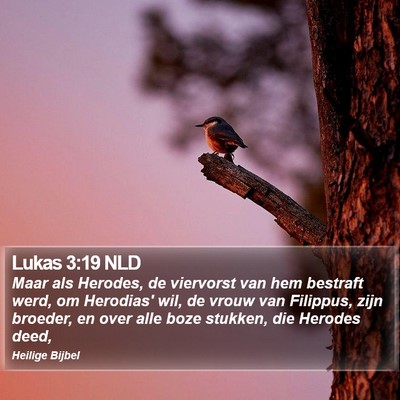 Lukas 3:19 NLD Bible Verse Image