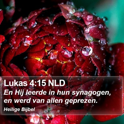 Lukas 4:15 NLD Bible Verse Image