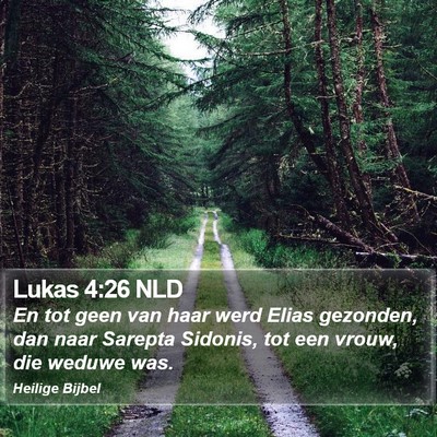 Lukas 4:26 NLD Bible Verse Image