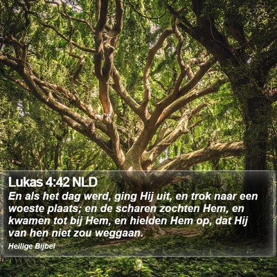 Lukas 4:42 NLD Bible Verse Image