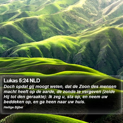 Lukas 5:24 NLD Bible Verse Image