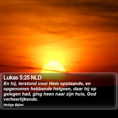 Lukas 5:25 NLD Bible Verse Image