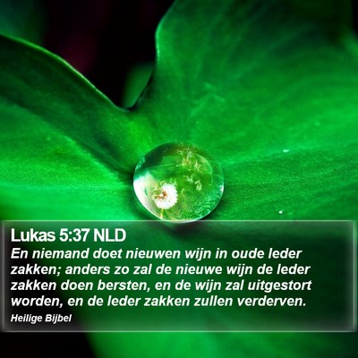 Lukas 5:37 NLD Bible Verse Image