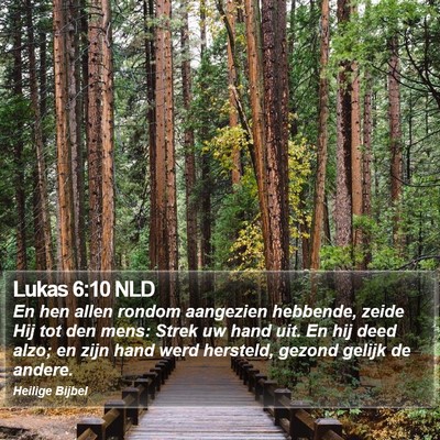 Lukas 6:10 NLD Bible Verse Image