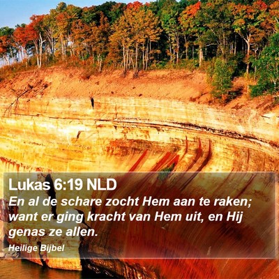 Lukas 6:19 NLD Bible Verse Image