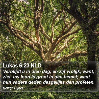 Lukas 6:23 NLD Bible Verse Image