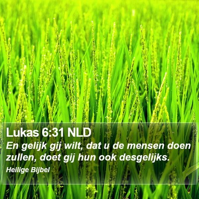 Lukas 6:31 NLD Bible Verse Image