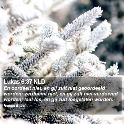 Lukas 6:37 NLD Bible Verse Image