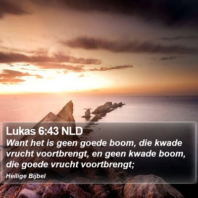 Lukas 6:43 NLD Bible Verse Image