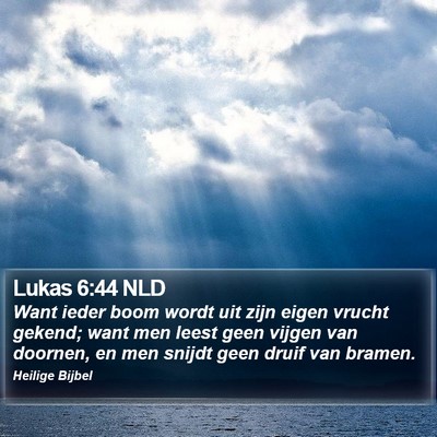 Lukas 6:44 NLD Bible Verse Image