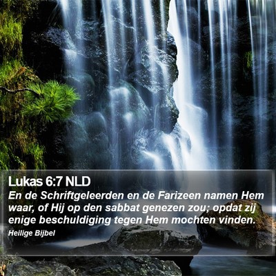 Lukas 6:7 NLD Bible Verse Image