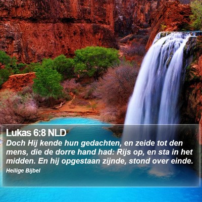 Lukas 6:8 NLD Bible Verse Image