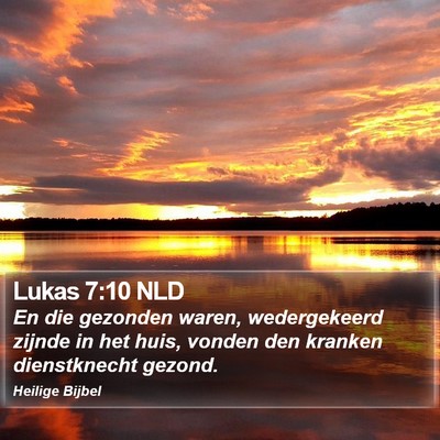 Lukas 7:10 NLD Bible Verse Image