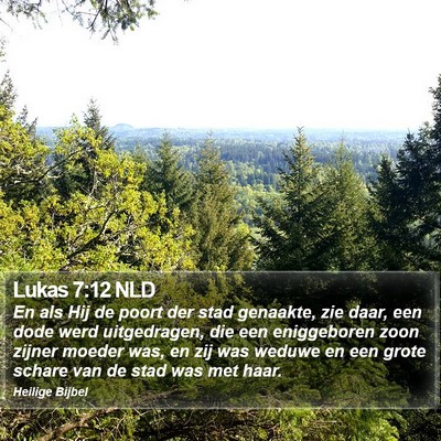Lukas 7:12 NLD Bible Verse Image