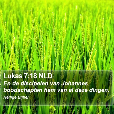 Lukas 7:18 NLD Bible Verse Image