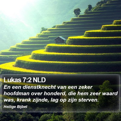 Lukas 7:2 NLD Bible Verse Image