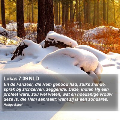 Lukas 7:39 NLD Bible Verse Image