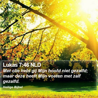 Lukas 7:46 NLD Bible Verse Image