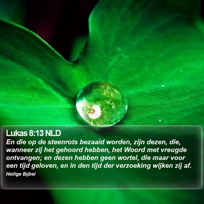 Lukas 8:13 NLD Bible Verse Image