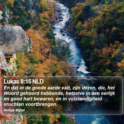 Lukas 8:15 NLD Bible Verse Image