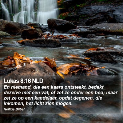 Lukas 8:16 NLD Bible Verse Image
