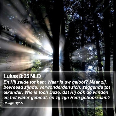 Lukas 8:25 NLD Bible Verse Image