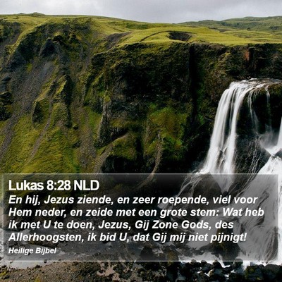 Lukas 8:28 NLD Bible Verse Image