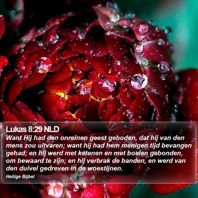 Lukas 8:29 NLD Bible Verse Image