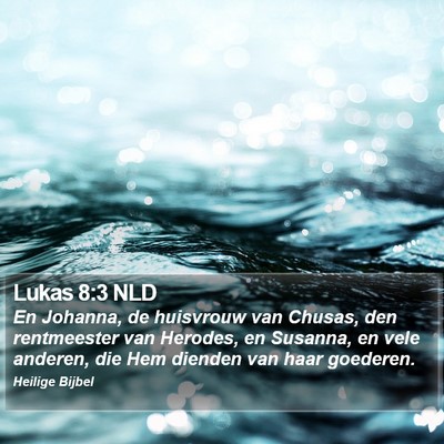 Lukas 8:3 NLD Bible Verse Image