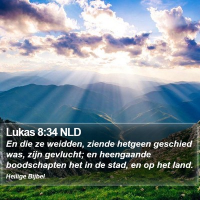 Lukas 8:34 NLD Bible Verse Image