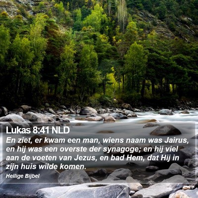 Lukas 8:41 NLD Bible Verse Image