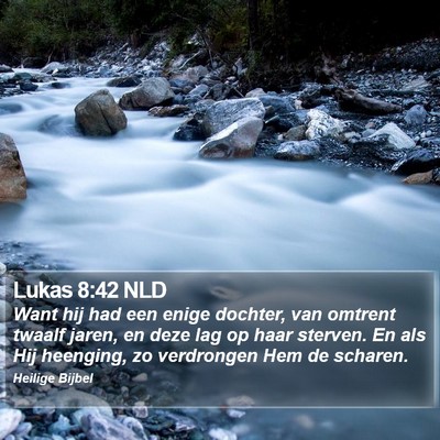 Lukas 8:42 NLD Bible Verse Image
