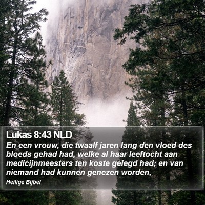 Lukas 8:43 NLD Bible Verse Image