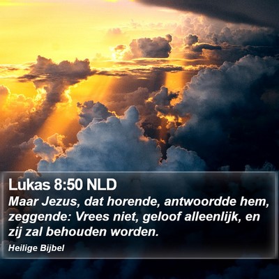 Lukas 8:50 NLD Bible Verse Image
